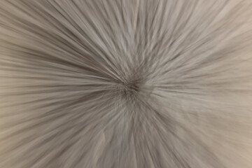 Intentional camera movement was used to zoom out on a pattern in concrete