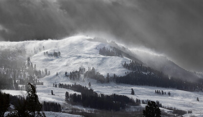A winter storm is blowing over a mount in Yellowstone National Park