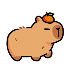 Cute Capybara with Orange on Head