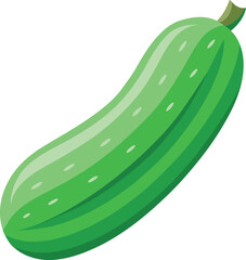 Colorful and stylish cucumber fruits vector illustration, cucumber vector graphics icon design, Vintage and retro cucumber vector graphics resource, cucumber editable vector art