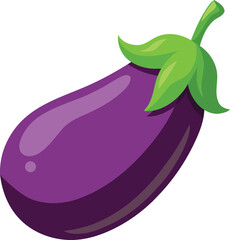 Colorful and stylish eggplant fruits vector illustration, eggplant vector graphics icon design, Vintage and retro eggplant vector graphics resource, eggplant editable vector art