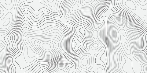 A seamless, minimalist background featuring abstract topographic contour lines in soft greys over a clean white canvas. The undulating,wavy lines form organic,layered shapes resembling elevation maps.
