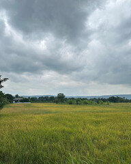 green field and blue sky