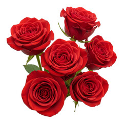 Fototapeta premium Vibrant red roses gracefully blossom in a bouquet, set against a dark backdrop, perfect for expressing love, passion, or creating elegant floral designs and romantic themes.