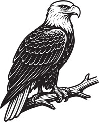 Majestic Bald Eagle Illustration Black and White Bird of Prey Artwork