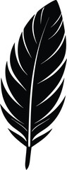 Obraz premium Single black feather silhouette simple design