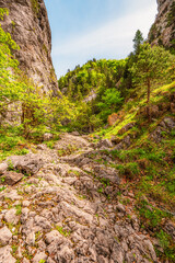 Hiking in Canyon in Prosiecka Valley near Kvacianska valley in Liptov region in northern Slovakia