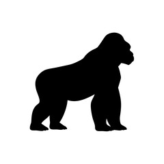 Obraz premium Intense Black Silhouette Gorilla Beating Chest Powerful Primate Display