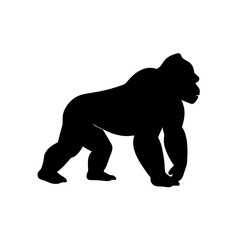 Obraz premium Powerful Black Silhouette Gorilla Pounding Chest Dominant Primate