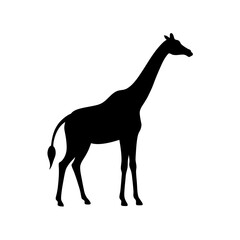 Majestic Black Silhouette of a Giraffe Standing Tall African Animal