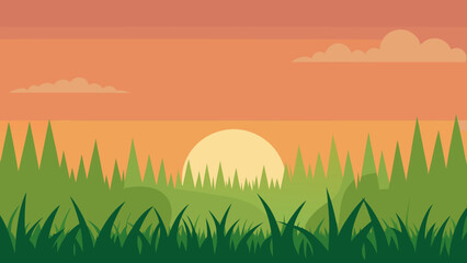 sunset over the grass
