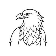 Fototapeta premium A Eagle line art vector illustration