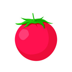 tomato simple colorful icon vector illustration design isolated on the white background.