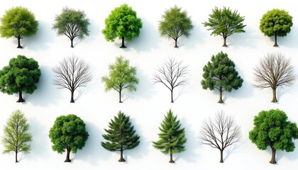 Collection of trees, including deciduous, evergreen types, displayed against clean white background. Features rich green foliage, bare branches, varied canopy shapes, isolated for versatile use in