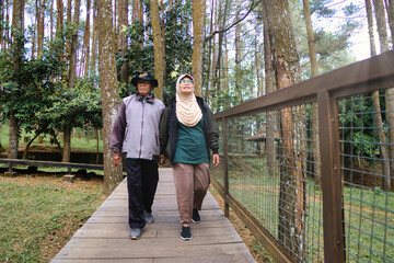Happy Senior Couple Enjoying a Peaceful Nature Walk on a Wooden Path