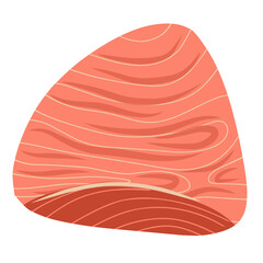 Salmon fillet illustration, salmon meat slices, seafood vector illustration 