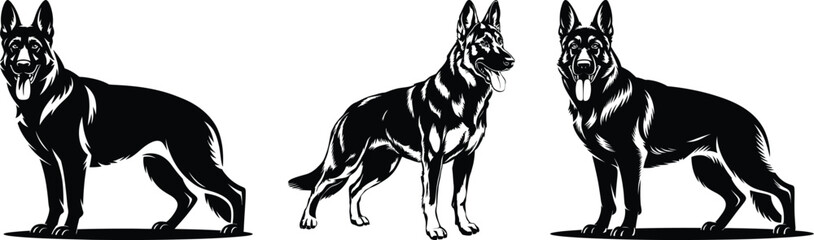 Set of three realistic german shepherd dog facing views in detailed silhouette vector collection