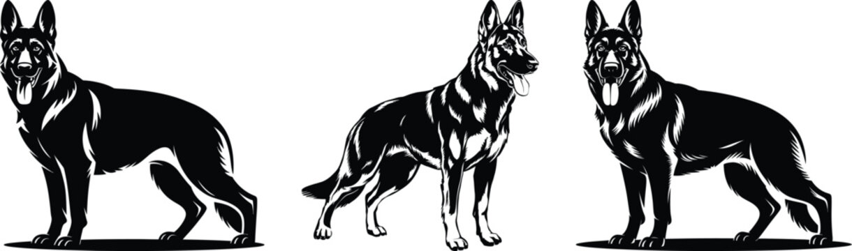 Set of three realistic german shepherd dog facing views in detailed silhouette vector collection