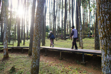 Two People Walking on a Wooden Pathway in a Serene Forest Setting