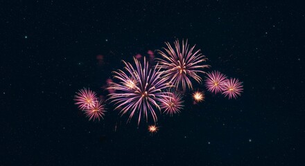 Night sky ablaze with vibrant pink and purple fireworks, creating a stunning spectacle