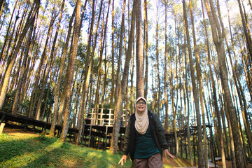 Joyful Woman Enjoying a Scenic Pine Forest During a Sunny Day