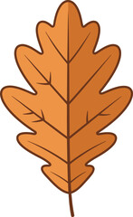 Isolated illustration of a brown oak leaf with visible veins on a white background.