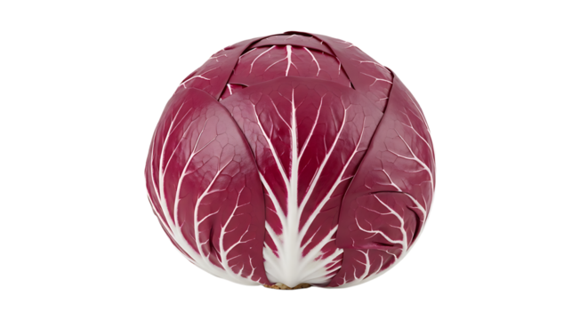 A close-up showcases the vibrant patterns of a radicchio on a stark white backdrop