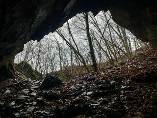 Looking out from the entrance of a long-abandoned slate quarry near Kisgyőr, Hungary, with dark rocks and a forested hillside beyond.