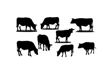 Obraz premium Seven black cow silhouettes grazing in a field, ideal for farmrelated designs, agriculture promotions, nature illustrations, or ruralthemed concepts.