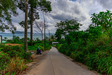 Lush green mountains of Patong and Kalim a trpoical rainforest in the hills overlooking Patong Beach on the island of Phuket Thailand 