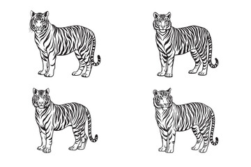 Isolated tiges silhouette with black and white stripes, perfect for wildlife illustrations