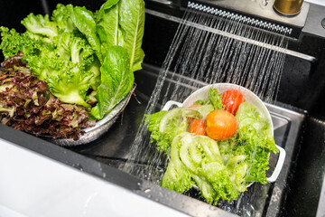 Hands gently rinse fresh salad greens under flowing water in a home kitchen. In a kitchen sink vibrant salad vegetables are thoroughly washed clean eating.