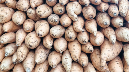 A close-up view of numerous sweet potatoes stacked together.