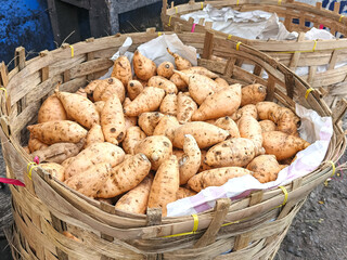 Sweet potatoes piled high in a woven basket.