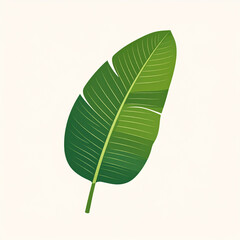 Obraz premium Green leaf with prominent veins isolated on a white background, highlighting its natural beauty and organic texture