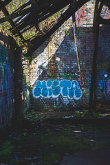 Grafitti covered ruins of Allen Brickworks