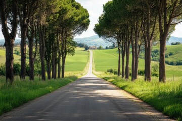 Obraz premium Sunny avenue with trees on both sides