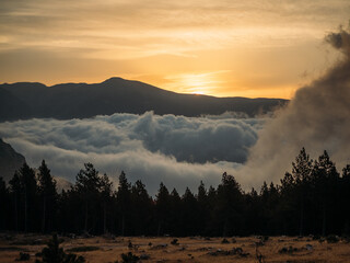 Rising sun illuminating thick low clouds between mountain ridges above dark forest line