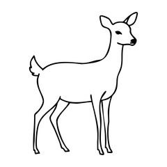 Fototapeta premium Outline illustration of a graceful deer standing in profile. Vector hand-drawn doodle illustration