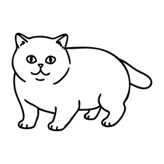Fototapeta premium Outline drawing of a british shorthair cat with a smile. Vector hand-drawn doodle illustration