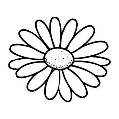 Fototapeta premium Outline illustration of a simple daisy flower design. Vector hand-drawn doodle illustration