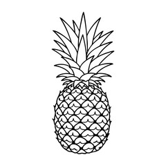 Obraz premium Pineapple outline drawing with geometric patterns and spiky leaves. Vector hand-drawn doodle illustration