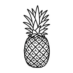 Obraz premium Hand-drawn pineapple illustration with geometric details. Vector hand-drawn doodle illustration