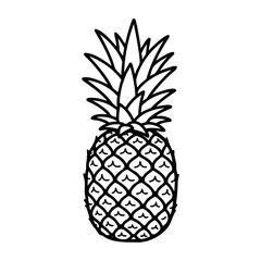 Obraz premium Pineapple outline drawing with detailed spiky leaves and textured skin. Vector hand-drawn doodle illustration