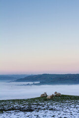 Cloud inversion and sunset over Halifax and Elland, Yorkshire