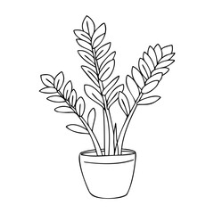 Outline of a potted plant with broad leaves. Vector hand-drawn doodle illustration