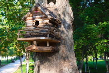 wooden bird house