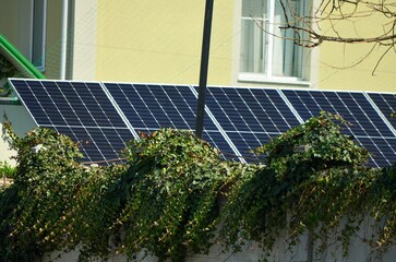 A house with a green roof covered in ivy. The ivy is growing on the roof and the house, giving it a...