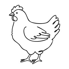 Fototapeta premium Simple line drawing of a chicken in profile view. Vector hand-drawn doodle illustration
