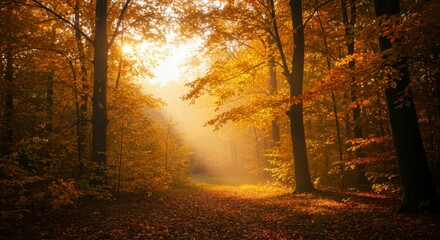 Fototapeta premium Golden autumn forest path